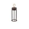 FLOS In Vitro Unplugged LED Light, Brown 2,700 K