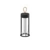 FLOS In Vitro Unplugged LED Light, Black 2,700 K -Flos Sales Store 3510774
