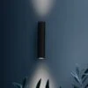 FLOS Flauta Spiga 1 Outdoor Wall Lamp 2,700K Black