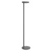 FLOS Oblique Floor LED Floor Lamp, 927, Anthracite